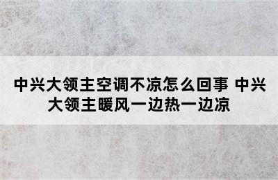 中兴大领主空调不凉怎么回事 中兴大领主暖风一边热一边凉